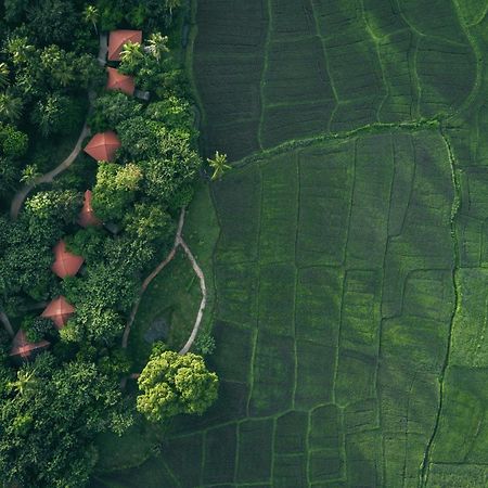 Jetwing Kaduruketha Hotel Велавая Екстериор снимка