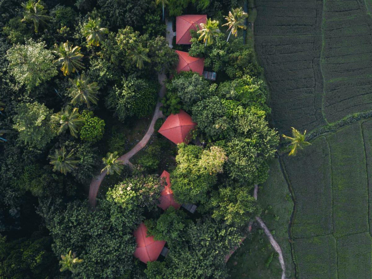 Jetwing Kaduruketha Hotel Велавая Екстериор снимка